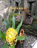Adimu: Nuevas recetas para los Orishas