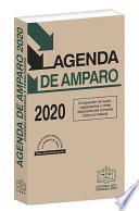 Libro AGENDA DE AMPARO 2020