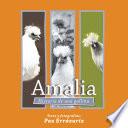 Libro Amalia