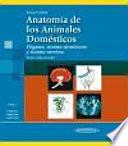 Libro Anatomía de los animales domésticos : aparato locomotor : texto y atlas en color