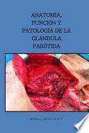 Anatomia, funcion y patologia de la glandula parotida