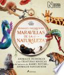 Libro Animales Fantásticos Maravillas de la Naturaleza / Fantastic Animals, Wonders of Nature