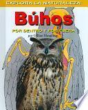 Buhos: Por dentro y por fuera (Owls: Inside and Out)