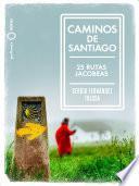Libro Caminos de Santiago