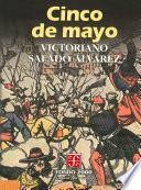 Libro Cinco de mayo