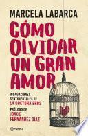 Libro Cómo olvidar un gran amor