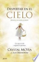 Libro Despertar en el cielo