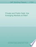 Libro Deuda privada y pública