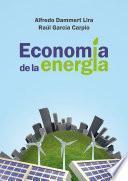 Economía de la energía