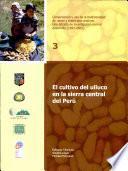 El cultivo del ulluco en la sierra central del Perú