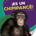 Libro ¡Es un chimpancé! (It's a Chimpanzee!)