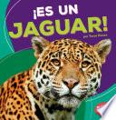 ¡Es un jaguar!