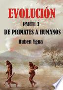 Libro Evolución- De Primates A Humanos
