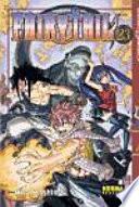 Libro Fairy Tail 23