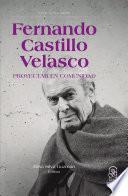 Fernando Castillo Velasco