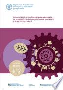 Libro Informe técnico-analítico para una estrategia de promoción de la incorporación de biometano a la red de gas natural