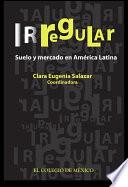 Libro Irregular