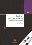 Libro Justicia y proceso en Francia