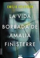 Libro La vida borrada de Amalia Finisterre