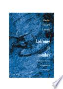 Libro Ladrones de sombra