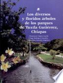 Los diversos y floridos árboles de los parques de Tuxtla Gutiérrez, Chiapas