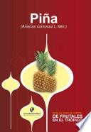 Manual para el cultivo de frutales en el trópico. Piña