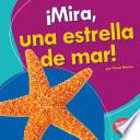¡Mira, una estrella de mar! (Look, a Starfish!)