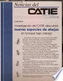 Noticias del CATIE - Costa Rica: Investacion del CAATIE descubrio nuevas especies de abejas en bosques bajo manejo.