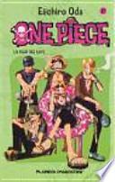 Libro One Piece no11