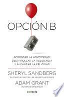 Opción B
