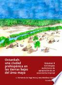 Libro Oxtankah: una ciudad prehispánica en las tierras bajas del área maya