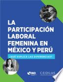 Libro Participación laboral femenina en México y Perú
