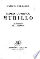Pedro Domingo Murillo