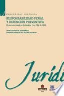 Libro Responsabilidad penal y detención preventiva