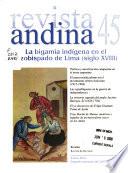 Revista andina