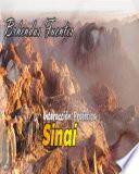 Libro Sinaí