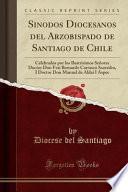 Libro Sinodos Diocesanos del Arzobispado de Santiago de Chile