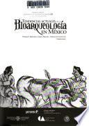 Tendencias actuales de la bioarqueología en México