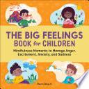Libro The Big Feelings Book for Children