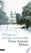 Libro Todo se arregla caminando