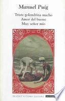 Libro Triste golondrina macho