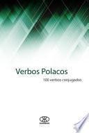 Libro Verbos polacos